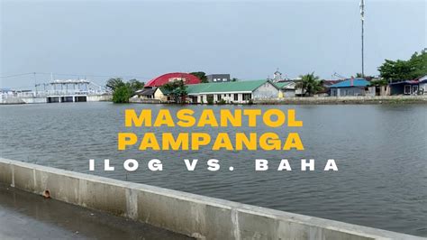 iniyot sa ilog|Mga buwaya, naligaw sa mga kabahayan nang umapaw ang ilog .